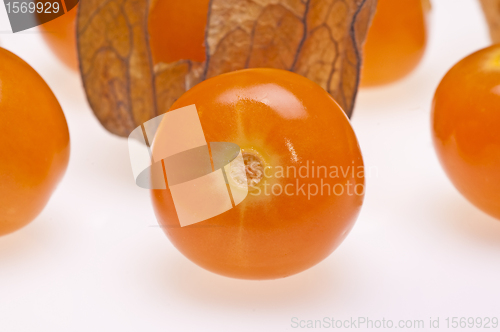 Image of Cape gooseberry