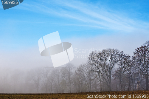 Image of descending fog in autumn