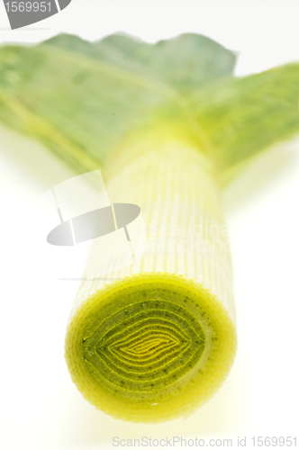 Image of leek