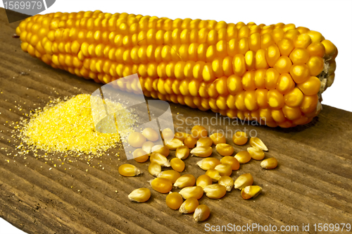 Image of corn with polenta