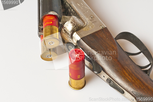 Image of shotgun