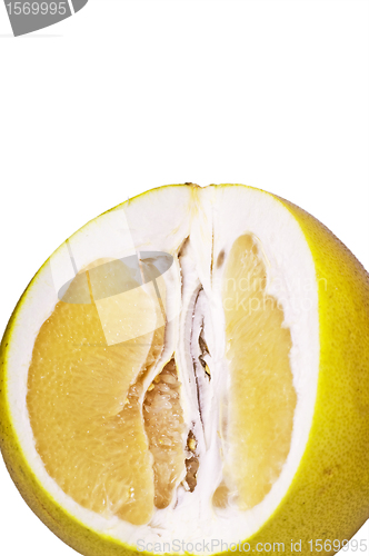 Image of Pomelo