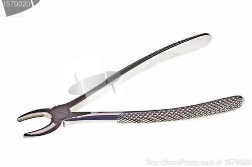 Image of dental instrument forceps