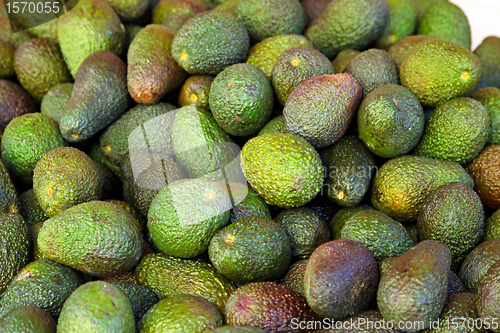 Image of Avocados