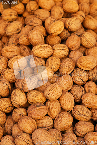 Image of Walnuts