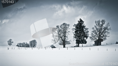 Image of winter scenery