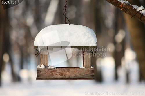 Image of Feeder for a birds