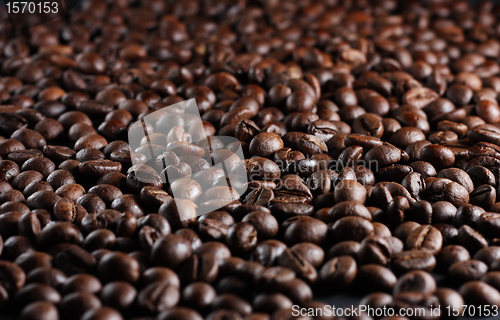 Image of Coffee beans