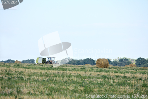 Image of Tractor harvesting crop