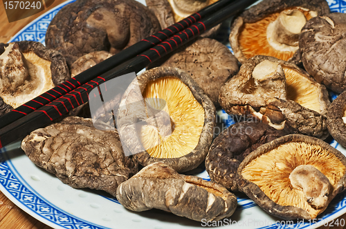 Image of shiitake mushroom 