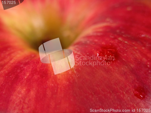 Image of Apple temptation