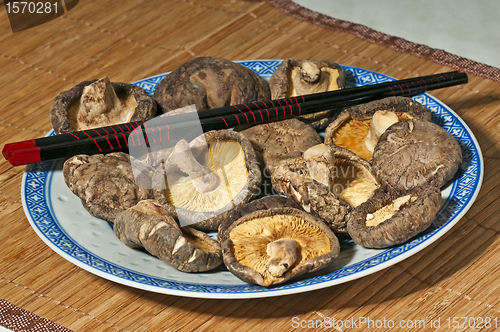Image of shiitake mushroom 