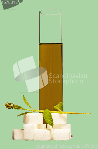 Image of Stevia rebaudiana, fluid