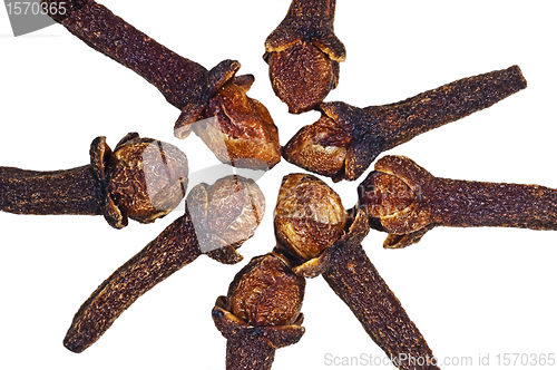 Image of cloves