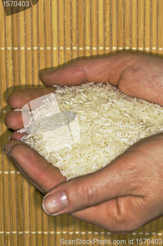 Image of rice