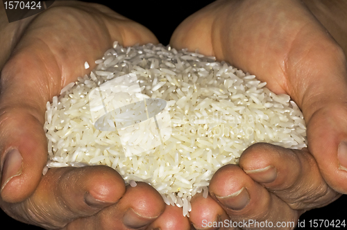 Image of rice