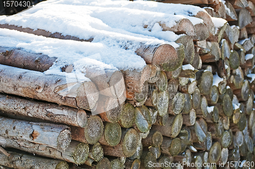 Image of fuel-wood in wintertime
