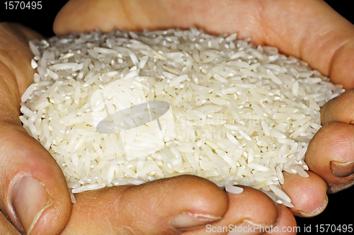 Image of rice