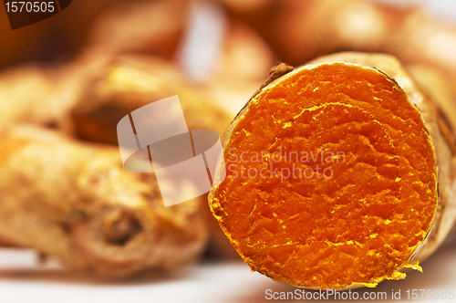 Image of turmeric, curcuma