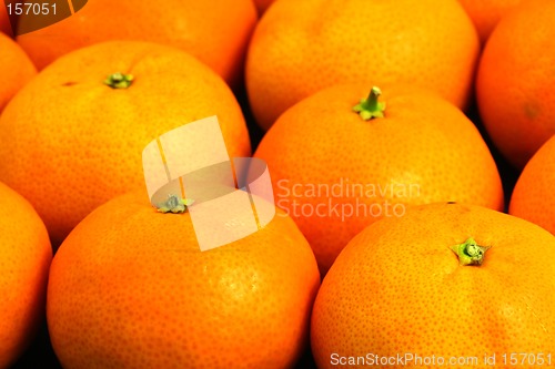 Image of Oranges