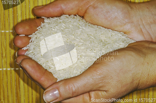 Image of rice