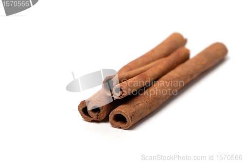 Image of Cinnamon sticks on white background