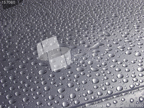 Image of Drops of water