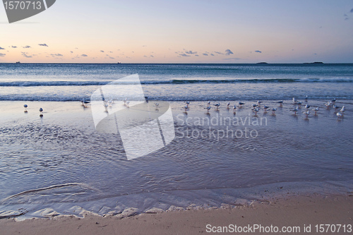 Image of peaceful beach sunrise