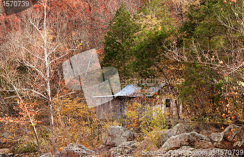 Image of old settlers cabin in the forest