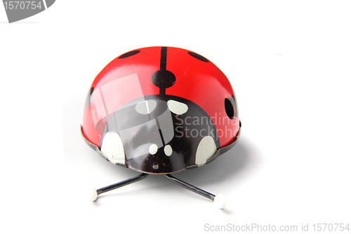 Image of old red ladybird toy