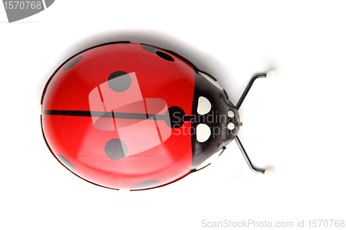 Image of old red ladybird toy