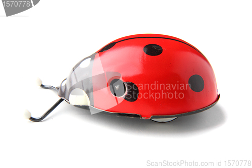 Image of old red ladybird toy