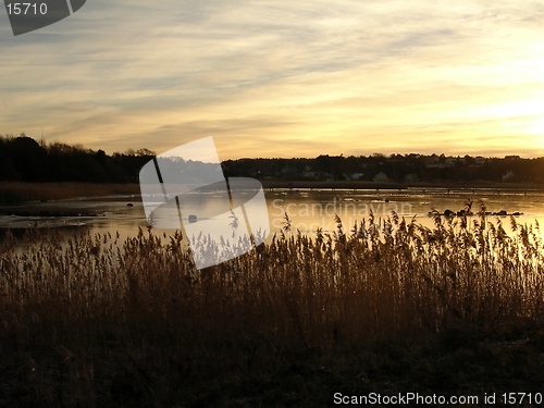 Image of Bay at evening