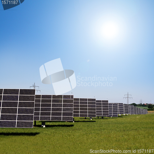 Image of solar plants in the rows