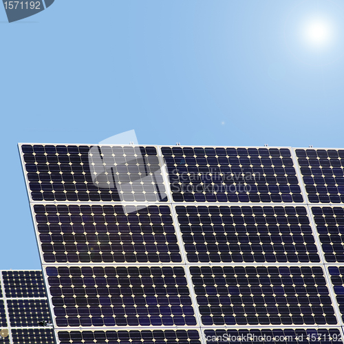 Image of solar plants