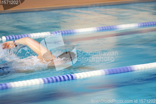 Image of man swims world record