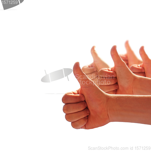 Image of thumbs up on white background