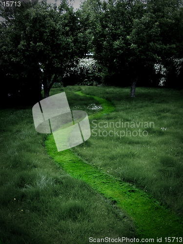 Image of A grassy path