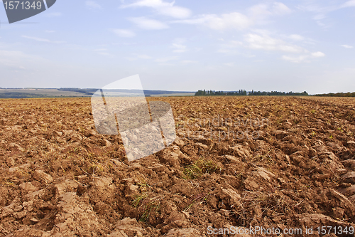 Image of Plow in autumn