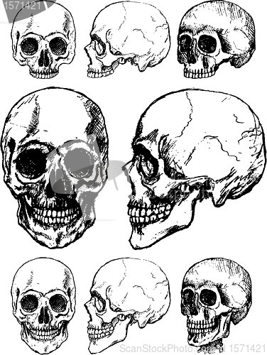 Image of Skull design