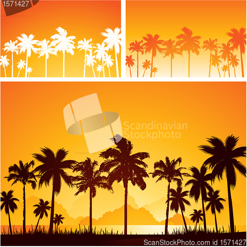 Image of Tropical background