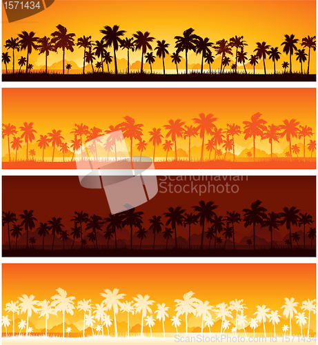 Image of Tropical background