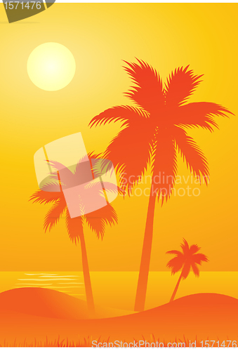 Image of Tropical background