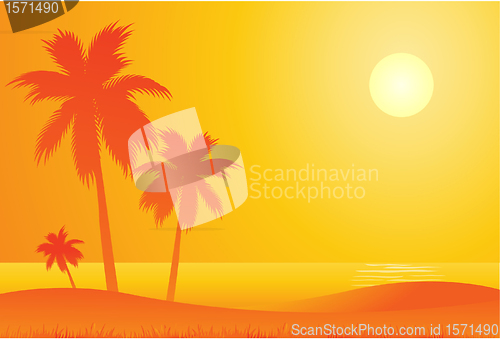 Image of Tropical background