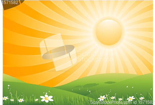 Image of Summer background