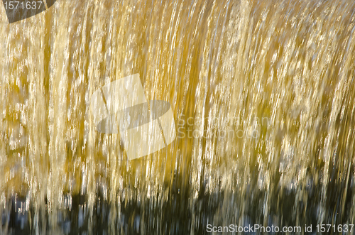 Image of Flow dam water closeup beautiful sunlit background 