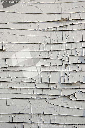 Image of grunge wooden plywood white paint peeling backdrop 