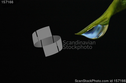 Image of Raindrop on leaf