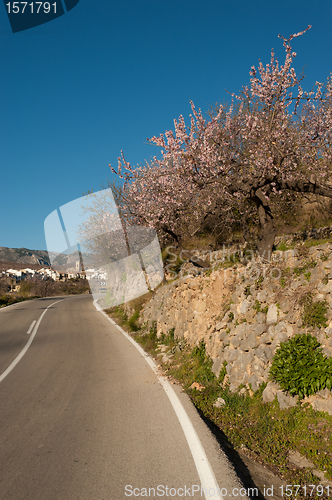 Image of Mediterranean winter