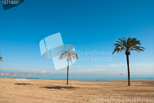 Image of Calm beach